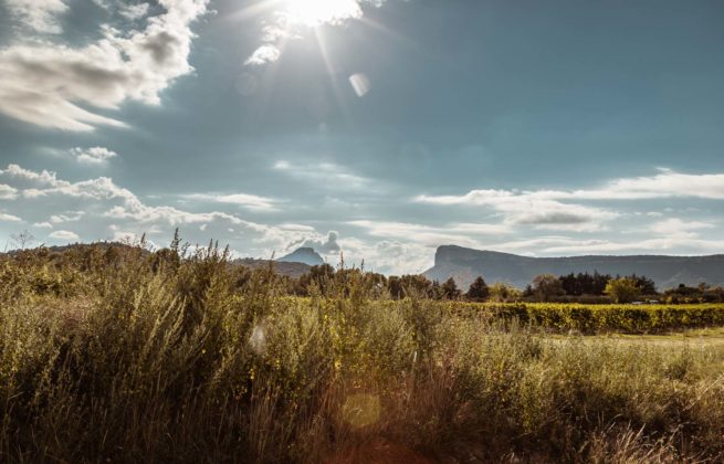 Photographie "Hortus & pic saint loup" - Paysages - Audrey Viste, Photographe à Montpellier / Photographe Montpellier