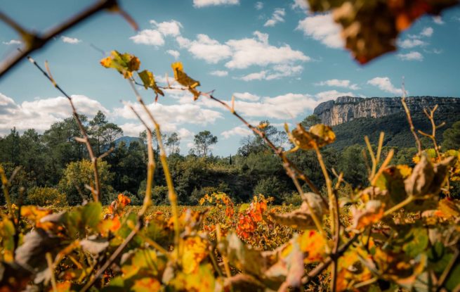 Photographie "Automne" - Paysages - Audrey Viste, Photographe à Montpellier / Photographe Montpellier