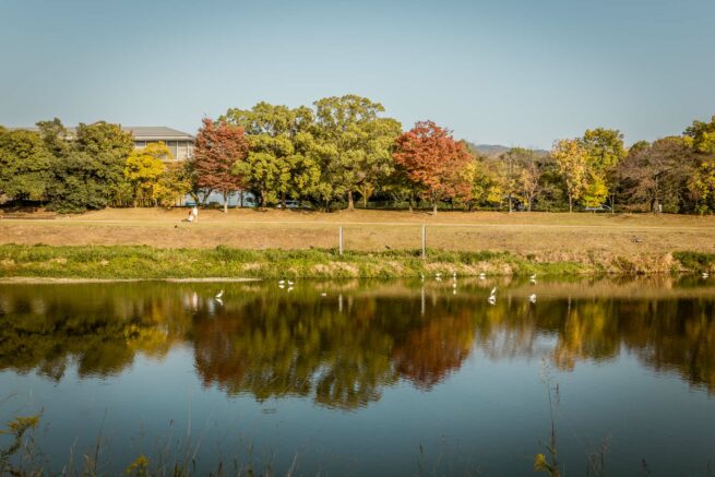 Audrey Viste, Photographe Professionnelle à Montpellier : Photographie Paysages "kamogawa Kyoto"