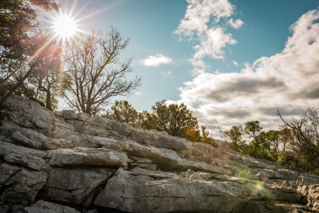Photographie "Hortus" - Paysages - Audrey Viste, Photographe à Montpellier / Photographe Montpellier