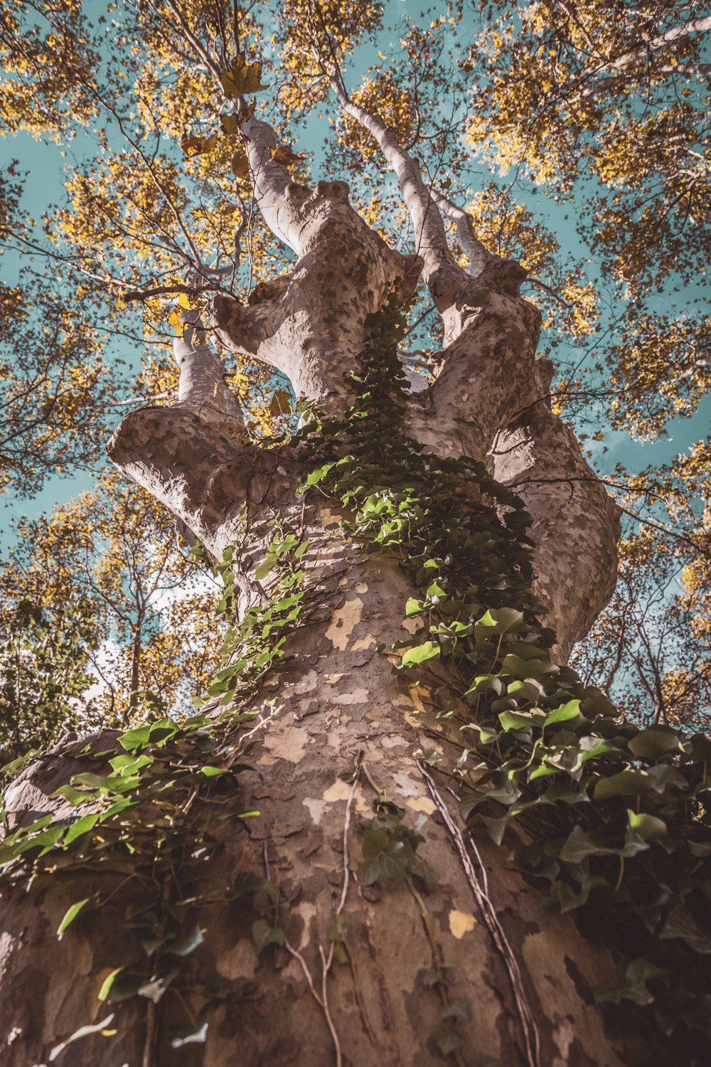 Photographie "Ancrage" - Paysages - Audrey Viste, Photographe à Montpellier / Photographe Montpellier