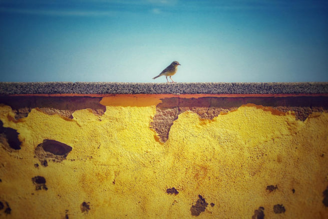 Photographie "Canaries Island" - Paysages - Audrey Viste, Photographe à Montpellier | Photographe Montpellier