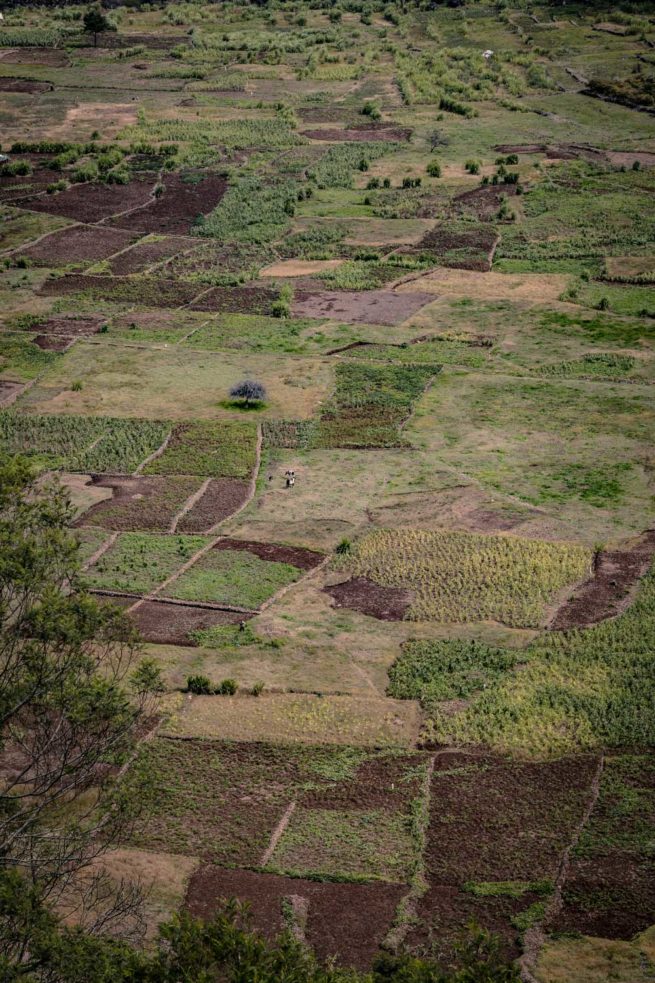 Photographie "Champs de Cova, Santo-Antao " - Paysages - Voyages - Audrey Viste, Photographe à Montpellier / Photographe Montpellier