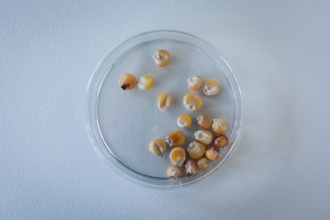 Photographie "Reportage" - Corporate- Audrey Viste, Photographe à Montpellier | Photographe Montpellier