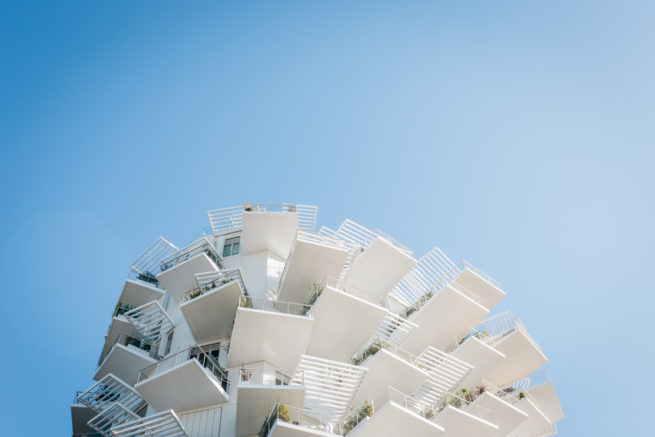 Photographie "Arbre blanc" - Paysages - Audrey Viste, Photographe à Montpellier | Photographe Montpellier