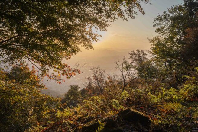 Photographie "Kyoto - Mont Hiei" - Paysages - Audrey Viste, Photographe à Montpellier | Photographe Montpellier